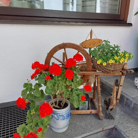 Hoedlmoser Appartamento Altenmarkt im Pongau